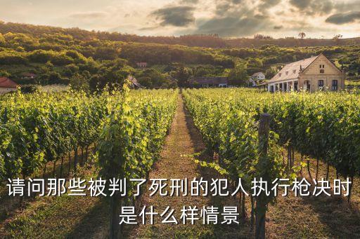 死刑現(xiàn)場(chǎng)，死刑犯槍決現(xiàn)場(chǎng)犯人都跪著嗎
