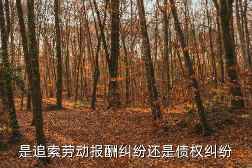 追索勞動(dòng)報(bào)酬糾紛，是追索勞動(dòng)報(bào)酬糾紛還是債權(quán)糾紛