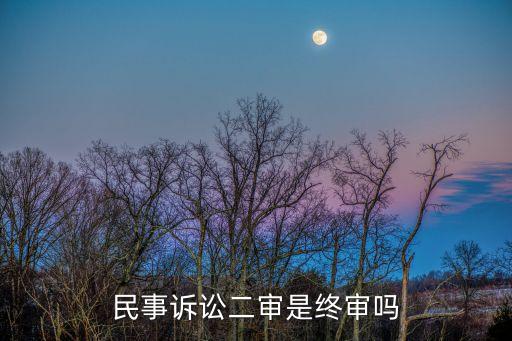 民事訴訟二審是終審嗎