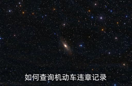 如何查詢機動車違章記錄