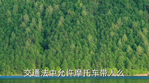 交通法中允許摩托車帶人么