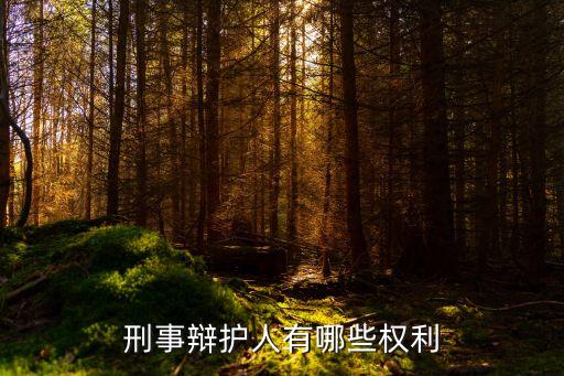 刑事辯護人有哪些權(quán)利