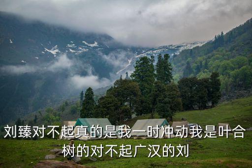 劉臻，十八歲的天空里石巖峰的扮演者的資料及作品