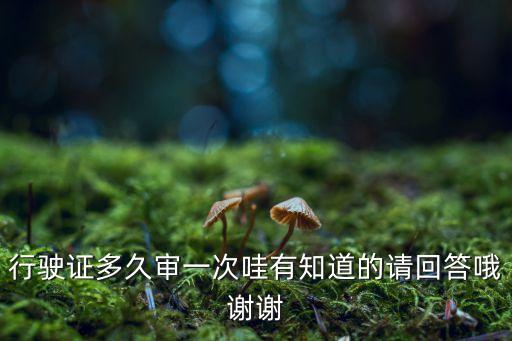 行駛證多久審一次哇有知道的請回答哦謝謝