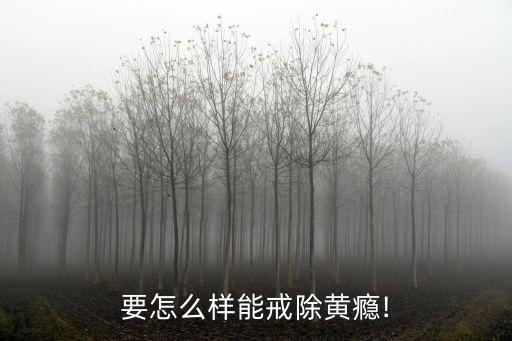 黃片不打馬賽克
