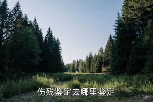 傷殘鑒定中心，成都傷殘鑒定中心在那里