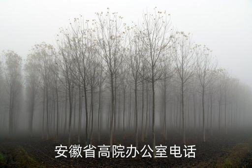 安徽高院，安徽省省高級(jí)*立案庭在哪里