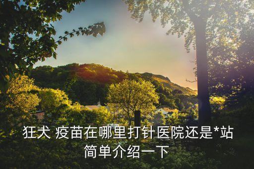 在哪打狂犬疫苗,石家莊在哪打狂犬疫苗