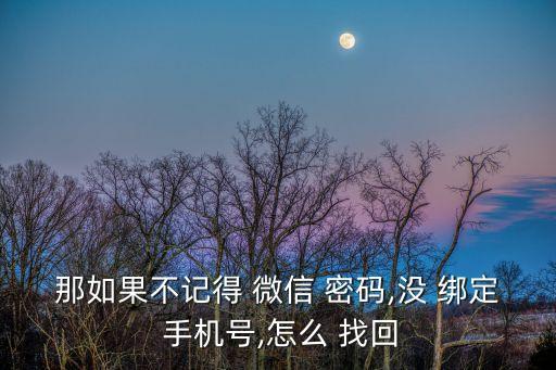 那如果不記得 微信 密碼,沒 綁定 手機(jī)號,怎么 找回