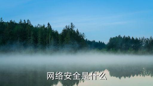 網(wǎng)絡(luò)安全是什么