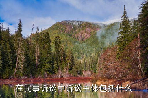 訴訟主體，什么是訴訟主體列置