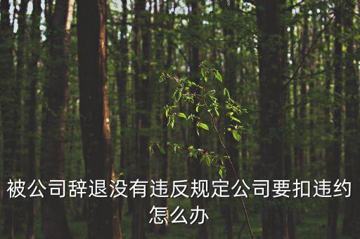 劉芳律師，劉芳