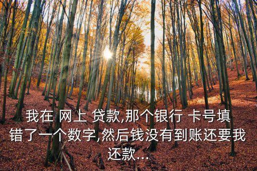 網(wǎng)上貸款卡號輸錯了要交5000