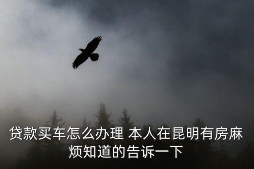 貸款買車怎么辦理 本人在昆明有房麻煩知道的告訴一下