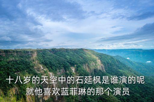 十八歲的天空中的石延楓是誰演的呢  就他喜歡藍菲琳的那個演員