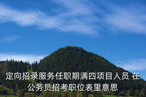 四項目，*四項建設(shè) 是什么