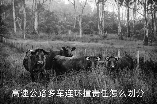 高速連環(huán)車禍，高速公路多車連環(huán)撞責(zé)任怎么劃分