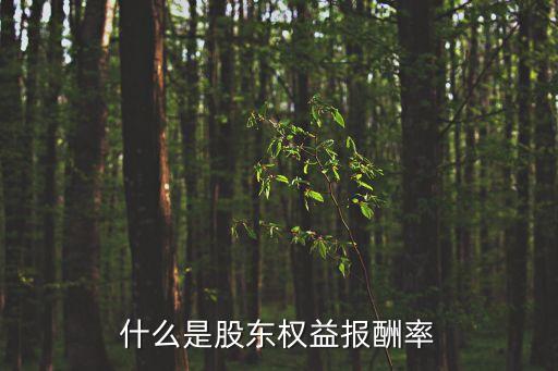 什么是股東權(quán)益報(bào)酬率