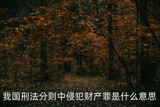 我國刑法分則中侵犯財產(chǎn)罪是什么意思