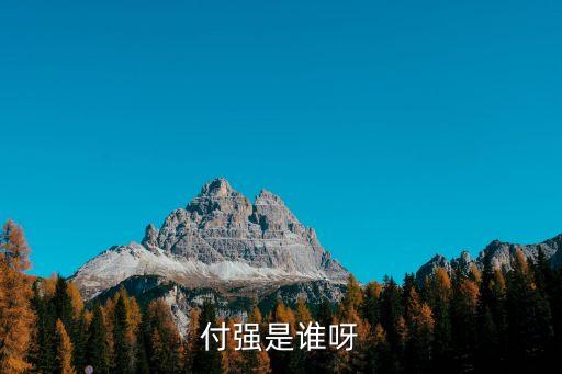 付強(qiáng)是誰呀