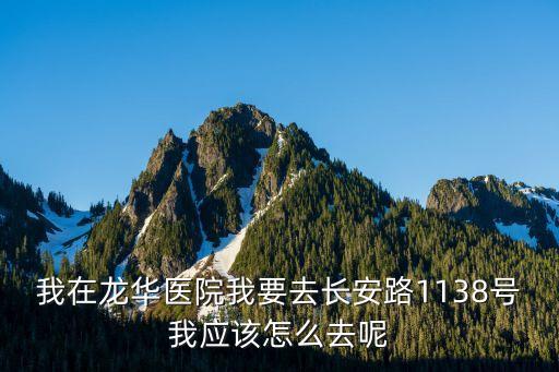 長安路1138號，上海市閘北區(qū)長安路1138號的公司是騙子嗎