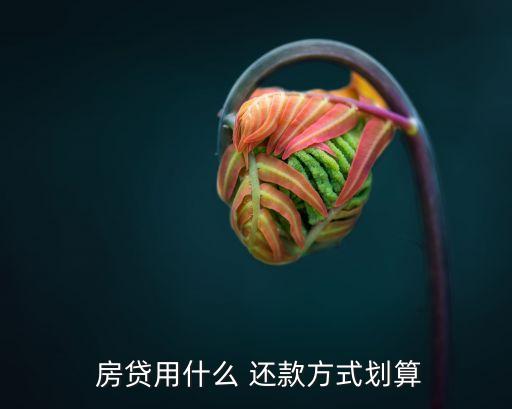 房貸用什么 還款方式劃算