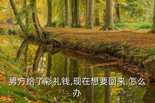 男方給了彩禮錢,現(xiàn)在想要回來,怎么辦