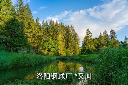 洛陽市*