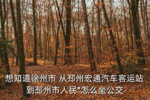 邳州市人民*，邳州市*周法官有幾位