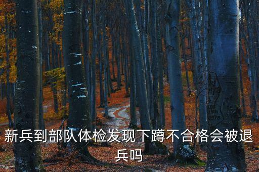 下蹲不全能當(dāng)兵嗎,輕度下蹲不全能當(dāng)兵嗎
