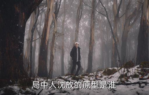 局中人沈放的原型是誰