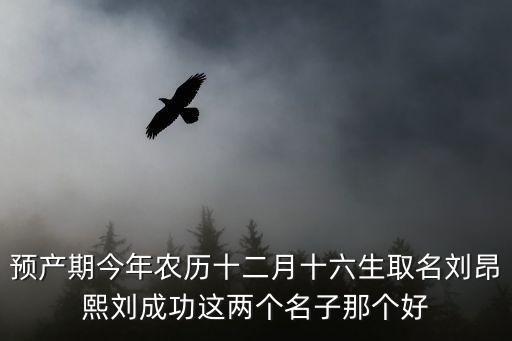 劉成功，劉成功是誰