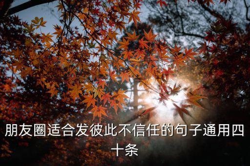 不要相信我