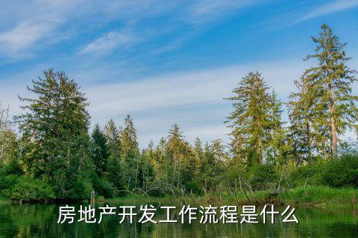 房地產(chǎn)開(kāi)發(fā)流程，房地產(chǎn)開(kāi)發(fā)流程有哪些跪求高懸賞20分
