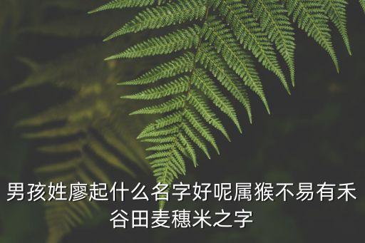 廖靖宇，男孩姓廖起什么名字好呢屬猴不易有禾谷田麥穗米之字