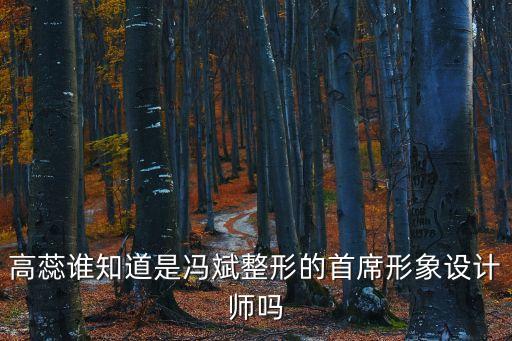 高蕊誰知道是馮斌整形的首席形象設計師嗎
