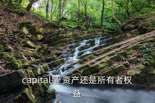 資本資產(chǎn)