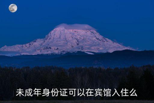 未成年身份證可以在賓館入住么