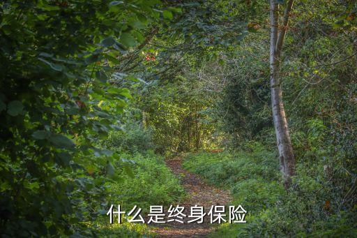 終身保險(xiǎn)，什么保險(xiǎn)是終身保險(xiǎn)