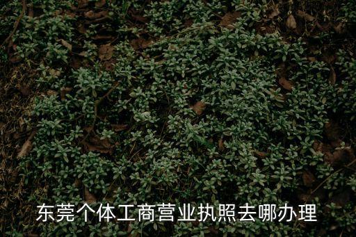 東莞工商，東莞巿工商局上班時(shí)間