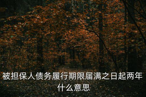期限屆滿，什么是履行期限屆滿之前