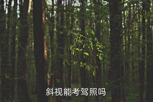 斜視可以考駕照嗎，斜視能考駕照嗎