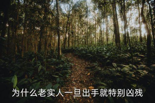 楊佳案