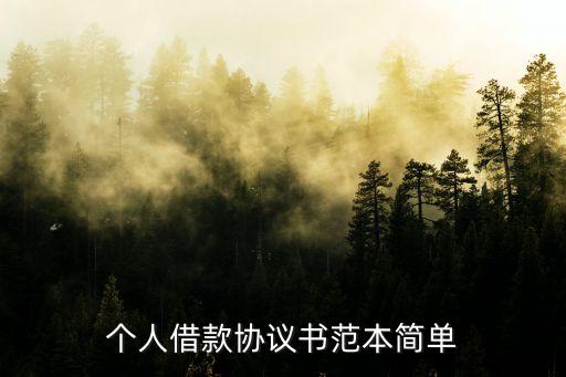 個(gè)人借貸合同