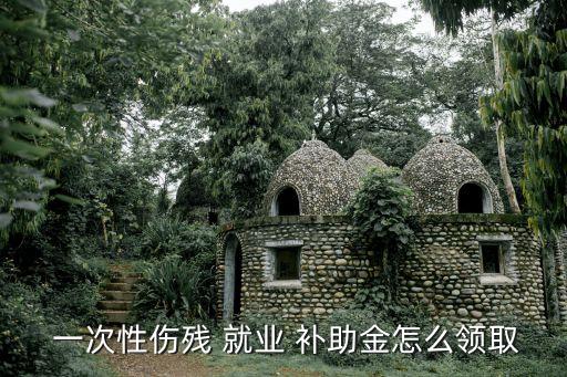 一次性就業(yè)補(bǔ)助金