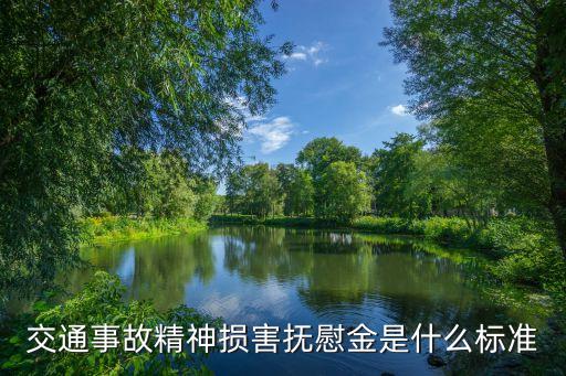 精神損害撫慰金，交通事故精神損害撫慰金是什么標(biāo)準(zhǔn)