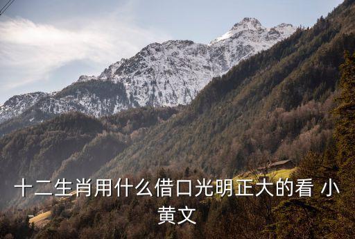 免費(fèi)看小黃片