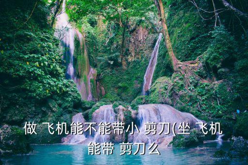 做 飛機(jī)能不能帶小 剪刀(坐 飛機(jī)能帶 剪刀么