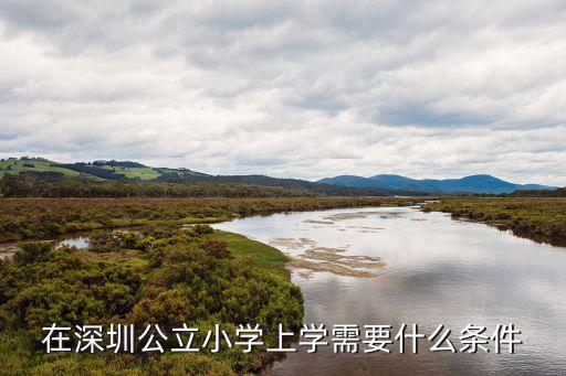 深圳小學(xué)入學(xué)條件，在深圳上小學(xué)需要什么條件要提前多少申請