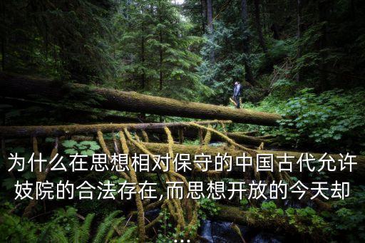 為什么在思想相對保守的中國古代允許妓院的合法存在,而思想開放的今天卻...